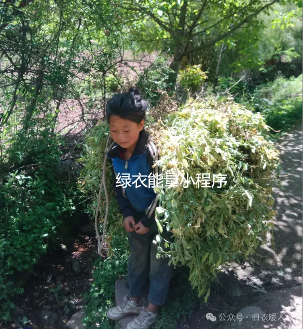 四川省凉山彝族自治州美姑县候播乃拖乡