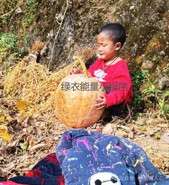 四川省凉山彝族自治州雷波县马劲子邮政快递