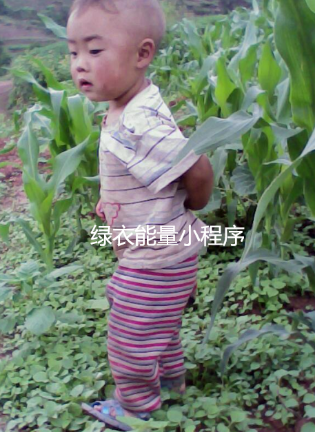 四川凉山彝族自治州西昌市啊阿宁镇邮政快递