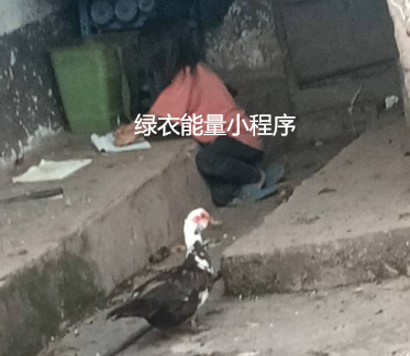 四川省凉山彝族自治州美姑县候古莫