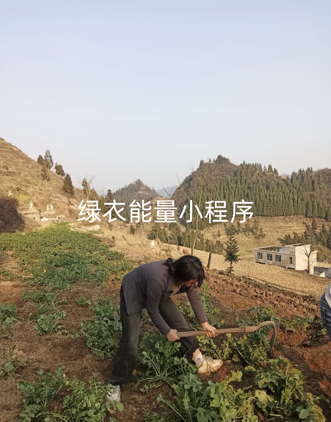 四川凉山彝族自治州美姑县邮政局