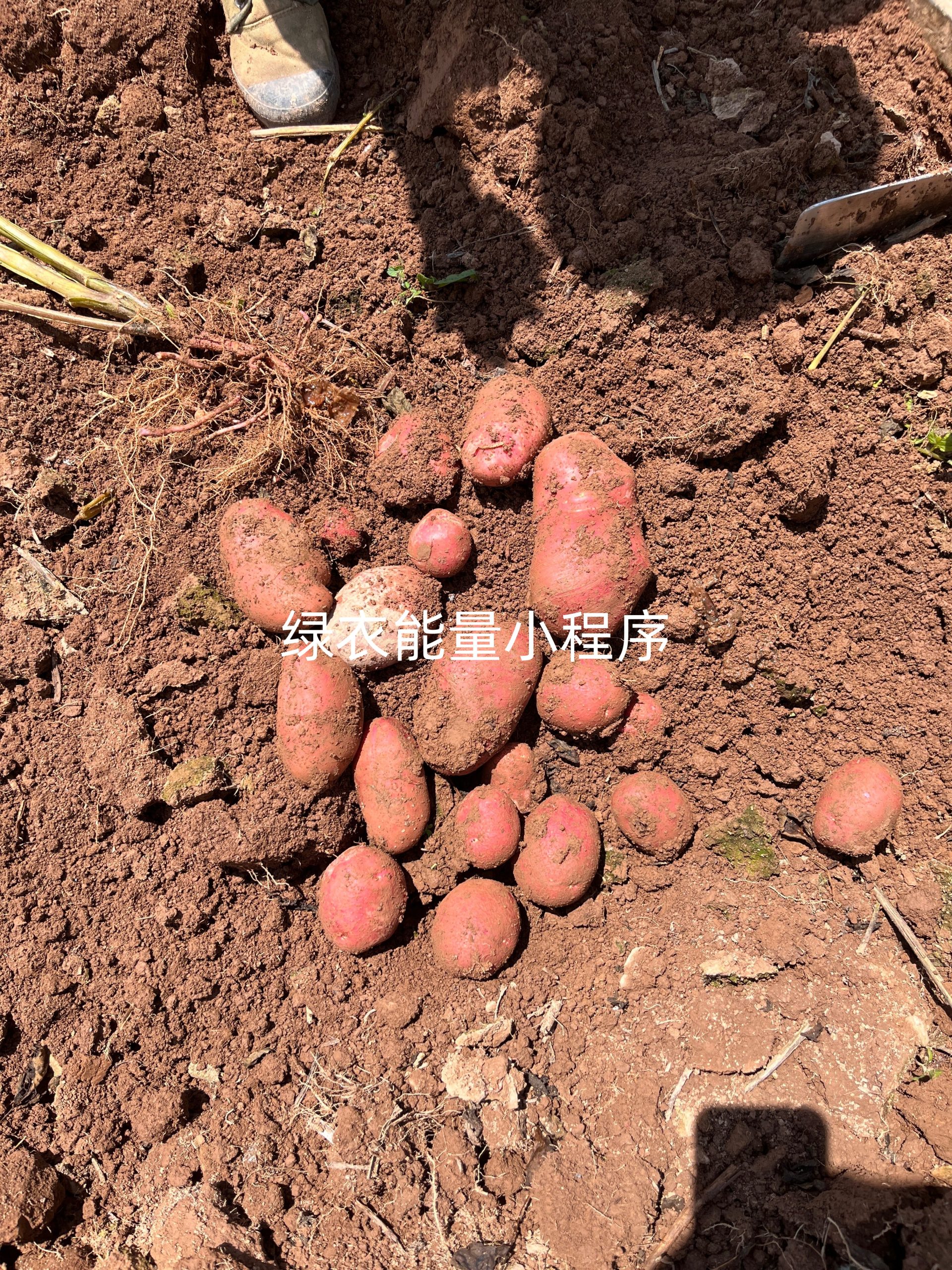 四川省凉山彝族自治州美姑县巴普镇668修理厂